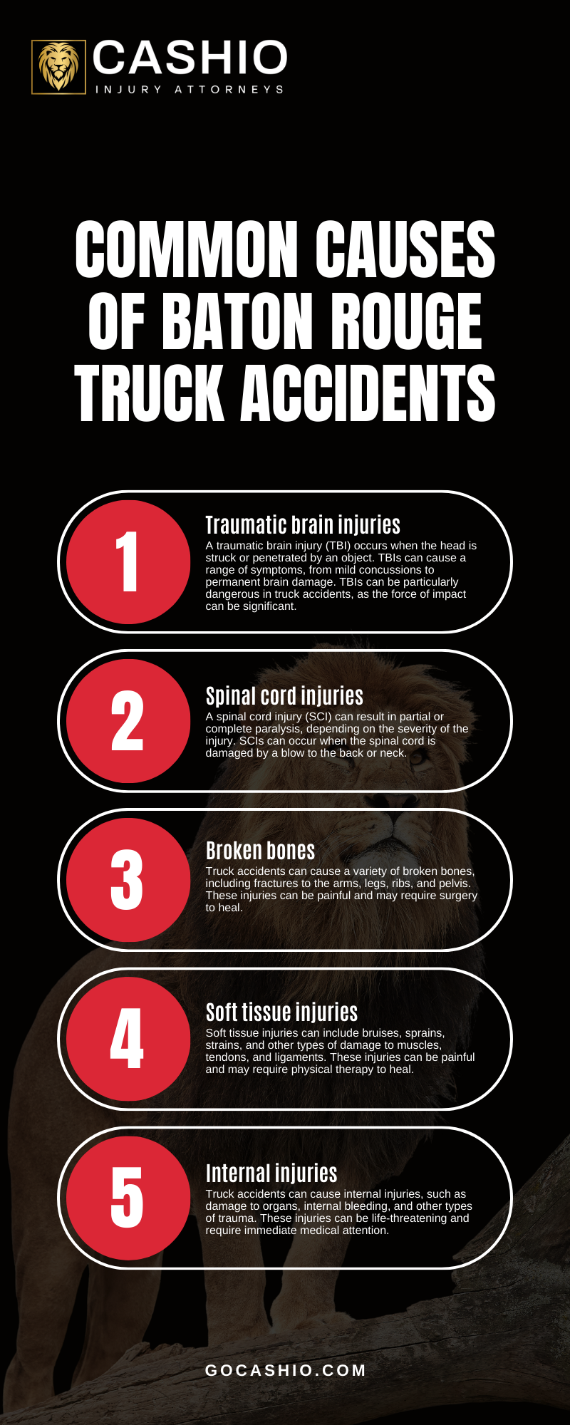 Common Causes Of Baton Rouge Truck Accidents Infographic