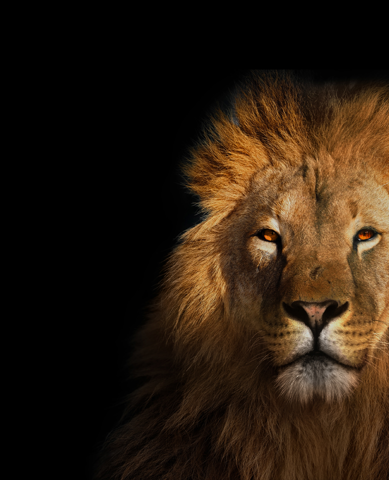 Baton Rouge Personal Injury Attorney Cashio Injury Attorneys